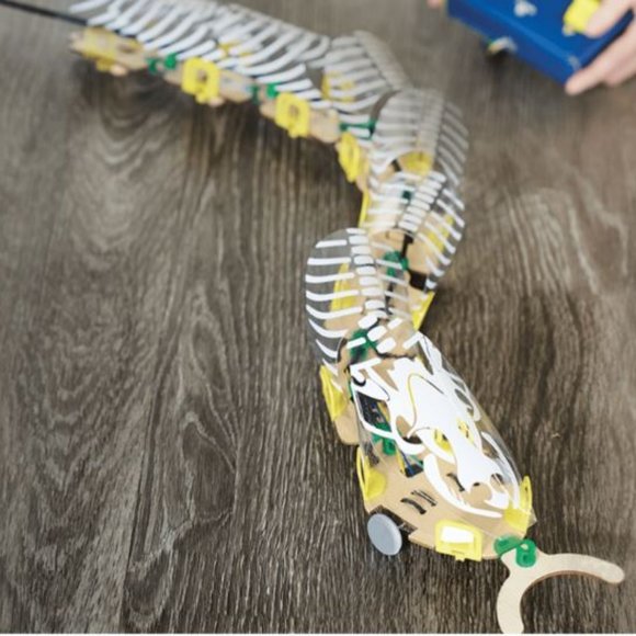 New Remote controlled Snake Robot Kiwi Co. KiwiCo LED Circuits Biology Snakes - Picture 8 of 14